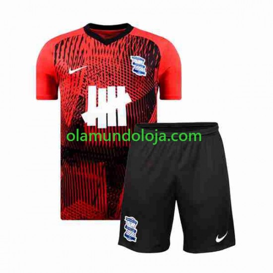 Camisola Birmingham City Criança Equipamento Segundo 2023-2024 Manga Curta